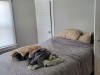 upper-bed-21